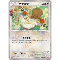 在飛比找蝦皮商城精選優惠-🌸老吉科🍀 Pokémon TCG PTCG 日版絕版XY系