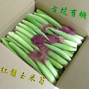 免運!【古坑有菜】有機紅鬚玉米筍10公斤 10kg/箱 (2箱,每箱924元)
