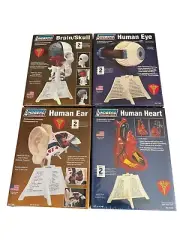 4 Lindberg Model Kits - Brain & Skull, Human Ear, Human Eye, Human Heart