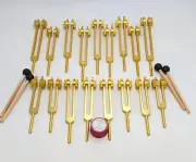 18 Set Sacred 9 Solfeggio and 9 Chakra Bundle Gold Weighted Tuning Fork Set Tune