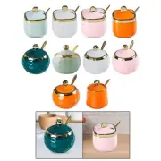 Ceramic Sugar Bowl Salt Container with Lid and Spoon Spice Seasoning Box Ceramic