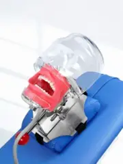 Dental Simulator Manikin Phantom Head Dental Chair Type for Training US STOCK