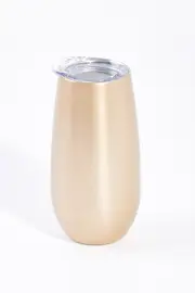 Double Wall Stainless Steel Sparkling Flutes--ANN-403FG