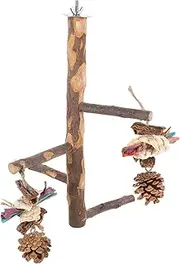 Toddmomy Parrot Toy Bird Stands for Parrots Parrot Stand Natural Wood Bird Perch Stand Bird Perches for Cage Natural Wood Perch Parakeet Cage Accessories Parrot Perch Toy Wooden