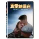 真愛趁現在 (DVD)