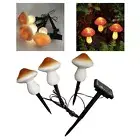 Solar Lights Garden Outdoor, Outdoor Pathway Decorative Lamp Lights Solar