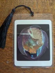 DOLPHIN Animal Spirits Bookmark Oracle Card Boulet Art Deck New Gift Tarot MAGIC