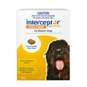 Interceptor Spectrum Chews for Medium Dogs11-22kg Yellow Allwormer 3 pack