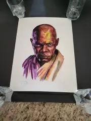Tim Doyle Star Wars Mace Windu Print 12x16