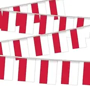32FT Small Polish eagle Pennant Flag Bunting,30 PCS Mini String Banner Strip Polish Eagle Coat of Arm National Decor Rectangle for Holiday Restaurant Home Party School