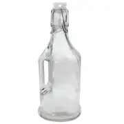Lemon & Lime 350ml Jar/Jug Drinking Container w/ Clip Lock Lid Glass Bottle CLR
