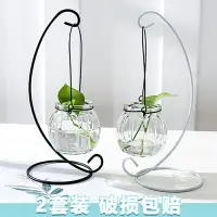 在飛比找樂天市場購物網優惠-綠蘿水培花盆器皿花瓶透明玻璃插花創意水養植物花器客廳裝飾擺件