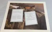 Daniel Smith "Canyon Outpost- Cougar" Limited Signed Print #3/650 Mint W/Cert
