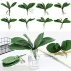 Leaves Plastic Grass Simulation Leaves Artificial Plants Phalaenopsis Leaf