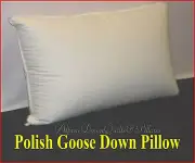 1 STANDARD PILLOW 95% WHITE POLISH GOOSE DOWN & FEATHERS -100% COTTON CASING