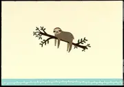 Peter Pauper Press Boxed Blank Note Cards - Sloth 328083