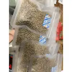 蜜袋鼯-黑飼料原包裝300G-板橋可面交