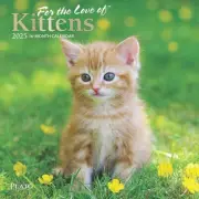 BrownTrout, Kittens For the Love Plato 2025 Mini Wall Calendar