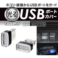 在飛比找蝦皮購物優惠-權世界@汽車用品 日本SEIKO車用/家用 USB防塵塞式 