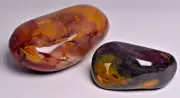 2 x MOOKAITE POLISHED FREEFORMS, Fossil Radiolarian, Australia P909