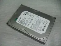 在飛比找Yahoo!奇摩拍賣優惠-Seagate ST3320620NS 320GB 7200