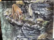Bradford Exchange - Cliff Dwellers - Within The Cougar's Sights
