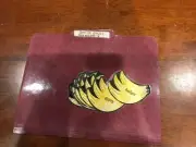 Gorilla Grub! hard soft G 3-4 grades language arts file folder game
