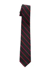 Snr Tie Navy With Red Stripes