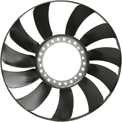 Fan Blade For 2001-05 Volkswagen Passat Plastic Electrical 12 Volts With 170 HP (for: Volkswagen)