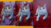 I accept the order! portrait of a dog, cats, handmade painting, oil on canvas.
