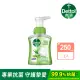 【Dettol 滴露】滋潤蘆薈泡沫潔手液洗手乳1入(250ml)