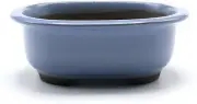 Bonsai pot Seto ware, uniform kiln glaze Japanese Bonsai Pot
