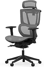 FLEXISPOT C7 Ergonomic Office Chair Adjustable Height Swivel Features Headrest Armrests Lumbar Support Smooth Wheels Black Grey Mesh Seat Ideal for Computer Office Desk Use No Footrest
