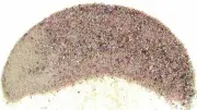 1/4 Ounce Natural Ruby Fuchsite Crystal Jewelry Craft Inlay Powder Sand Painting