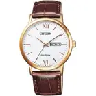 CITIZEN Collection BM9012-02A Eco-Drive Men's Watch New