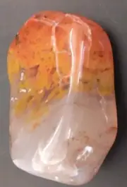 Polished Agate Petrified Wood Volcanic Limb Cast W/ Deep Colors Yellow Cat Utah