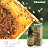 在飛比找松果購物優惠-【Enzergen】蜂膠萃取液（25ml）效期2025/1/