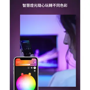 飛利浦 PHILIPS Hue智慧照明系列 PH010 全彩情境 Hue Play燈條雙入組