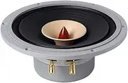 PZNGNKELPT 1pcs FAST-10 Full Range Speaker 10 Inch Unit Bookshelf Speaker