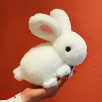 在飛比找蝦皮商城精選優惠-(現貨 新品上市)卡通小兔子毛絨玩具 公仔白色玉兔玩偶 大白