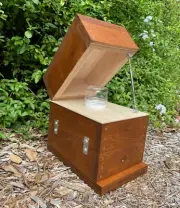 Honey Jar Beehive OATH Box Stingless Australian Native Bee Hive Stained