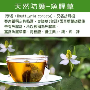 台灣魚腥草茶 魚腥草 非常時期 健康維持 清廢茶 空污 吸菸 霧霾 熬夜 促進代謝 茶包 (5.4折)