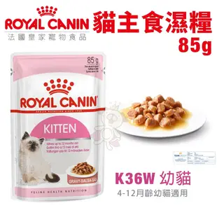 ＊WANG＊【全省免運】Royal Canin法國皇家85gX12包K36W幼貓 貓主食 貓飼料 貓餐包