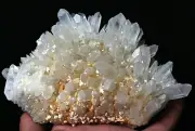 Clear Natural Beautiful White Chrysanthemum QUARTZ Crystal Cluster Specimen