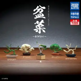 【日本正版授權】全套5款 盆菜 扭蛋/轉蛋 植物/蔬菜/青菜/迷你盆栽/迷你花椰菜/迷你白蘆筍 067600