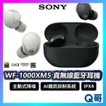 SONY WF-1000XM5 藍牙真無線耳機 無線耳機 藍牙耳機 耳塞式耳機 降噪 防水 人體工學 耳機 SN101