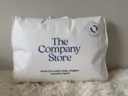 NWT THE COMPANY STORE STANDARD DOWN FEATHERS SOFT PILLOW SZ 20 X 26in