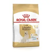 Pack of 3 Kg Royal Canin Adult Labrador Dog Dry Retriever (Age 5 Years or Above)