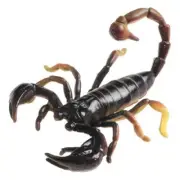 Four Toy Australian animals : Scorpion, Red-backed, Funnel-Web, Huntsman Spider