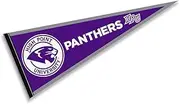 College Flags & Banners Co. High Point Panthers Pennant
